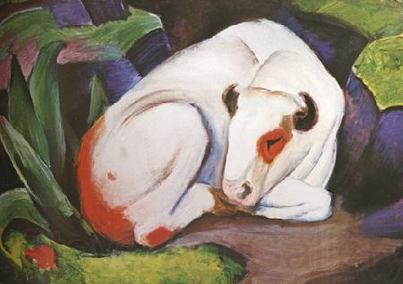 Franz Marc The Steer (mk34) Norge oil painting art